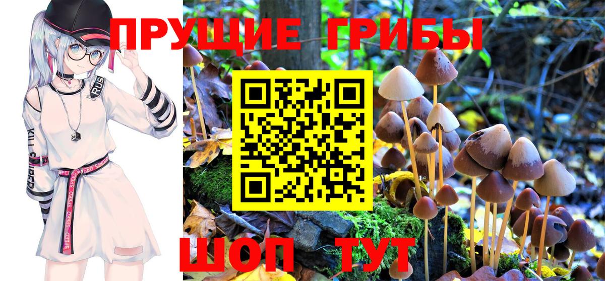 Галлюциногенные грибы GOLDEN TEACHER Ржев